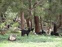 turkije2005 174